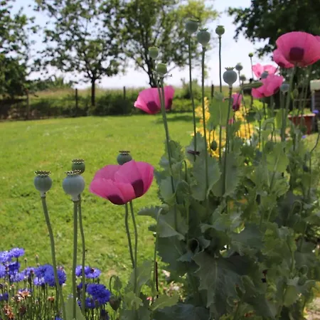 La Grange De Broustic Bed & Breakfast